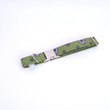 collier pour chien vert olive aux couleurs de la provence qui est réglable et imperméable