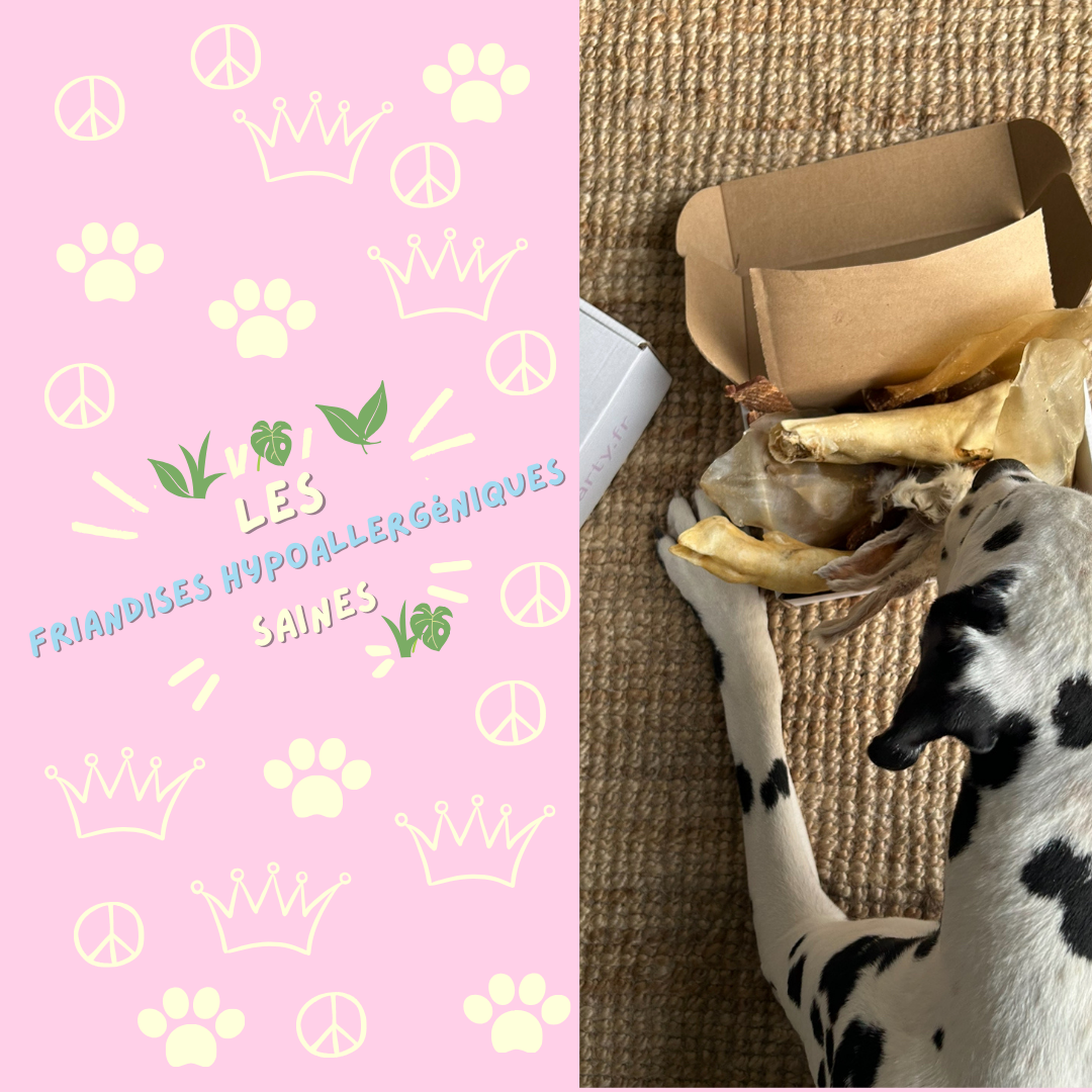 Les friandises pour chiens bio et éthiques