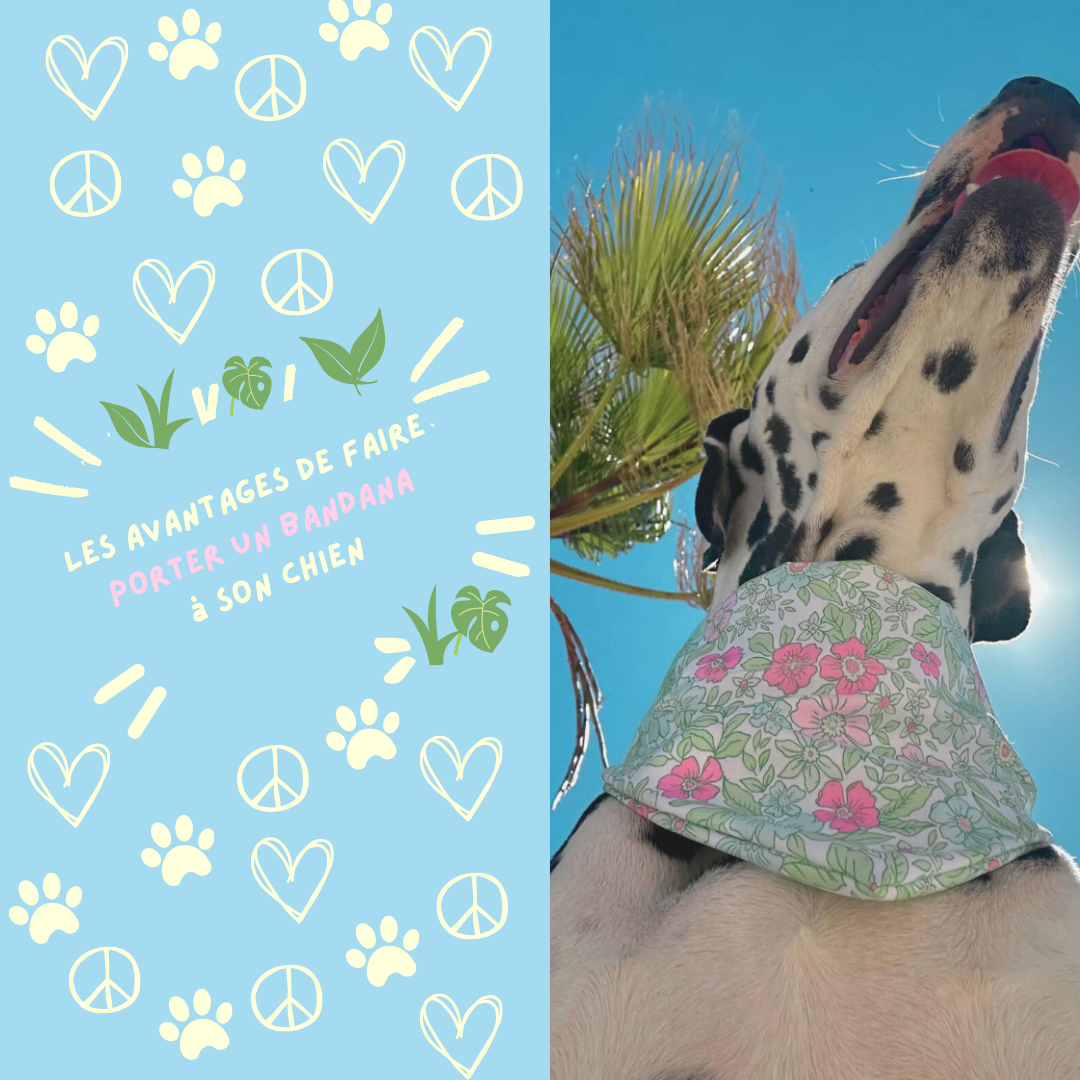 Les avantages de faire porter un bandana à son chien