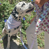 Bandana pour chien au design élégant, imperméable et fait main en France, facile à attacher