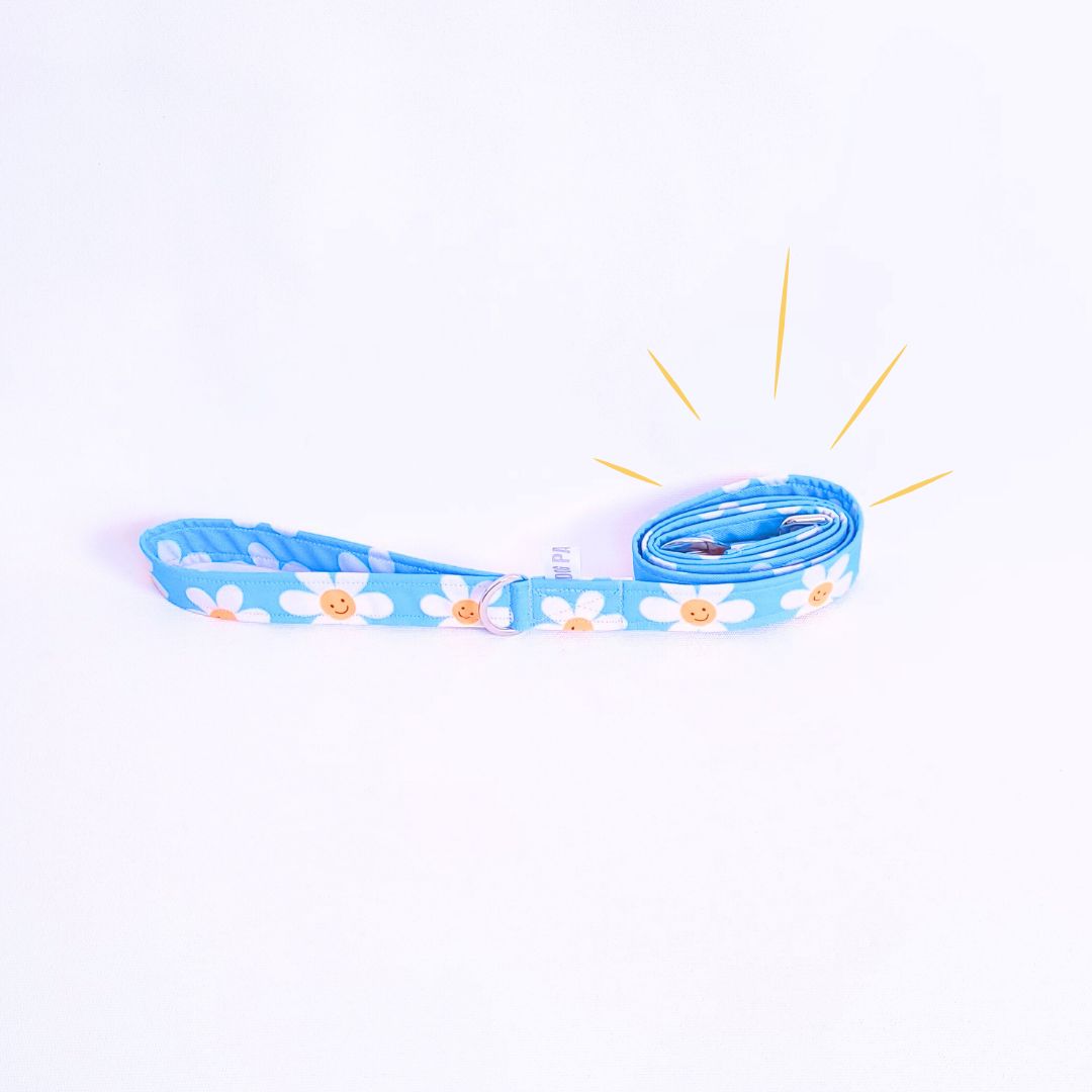 Laisse pour chien imperméable, stylée et réglable, fabriquée en france 